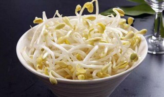 广东黄豆芽的做法和配方 黄豆芽的做法家常做法