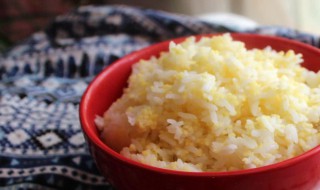代替米饭的低糖主食 代替米饭的低糖主食适合糖尿病