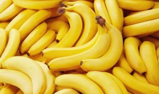 香蕉的资料 香蕉的资料说明文
