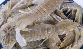 皮皮虾蒸多长时间最好吃 海螺蒸多长时间最好吃