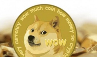 柴犬币缩写 柴犬币的英文名叫什么