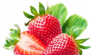 减肥可以吃草莓吗 减肥可以吃草莓吗什么时间吃