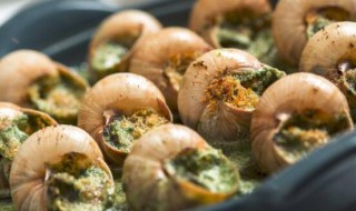 蜗牛怎么做好吃 蜗牛怎么做好吃又简单的视频