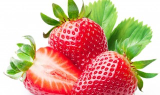 草莓种植技术 草莓种植技术培训