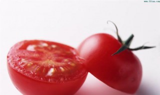 番茄汁减肥方法 番茄汁减肥方法怎么做