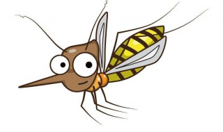 夏天会有哪些蚊虫 夏天有什么蚊虫