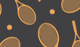 如何选择网球拍 如何选择网球拍的重量?