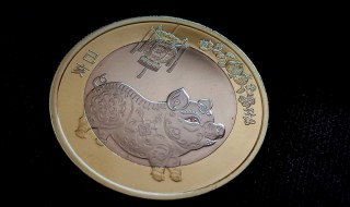 猪年纪念币就是（猪年的纪念币）