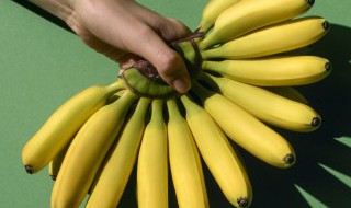绿皮香蕉如何催熟 绿皮香蕉催熟方法