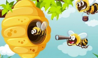蜜蜂进家里怎么赶出去 蜜蜂进家里怎么赶出去视频
