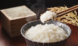 焖米饭加什么比较香 焖米饭加什么比较香好吃