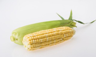 水果玉米和普通玉米有什么区别（水果玉米和普通玉米有什么区别营养价值）