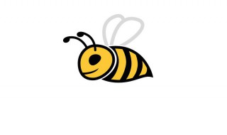 蜜蜂还有哪些特点和生活习性呢（蜜蜂有什么特点和生活）
