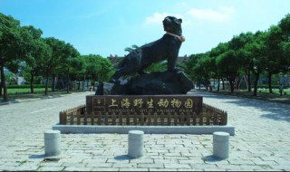 上海野生动物园简介（上海动物园）
