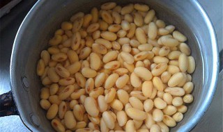 黄豆的功效与作用及食用方法 白醋泡黄豆的功效与作用及食用方法