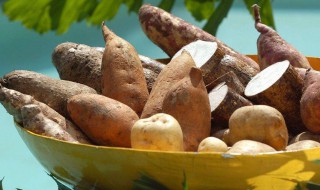白薯的营养价值 红薯的营养价值与食用功效