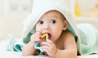 八个月宝宝辅食（八个月宝宝辅食食谱大全及做法）