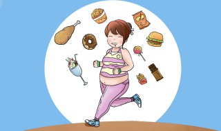 怎样饮食减肥（怎样饮食减肥快）