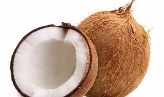 带皮椰子怎么开最简单 带皮椰子如何打开小技巧