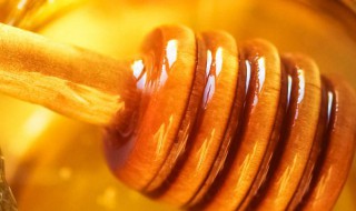 枣花蜂蜜的功效与作用（洋槐蜂蜜和枣花蜂蜜的功效与作用）