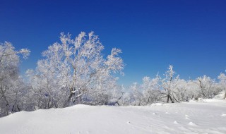 北国风光千里冰封万里雪飘全文及翻译 这是谁写的