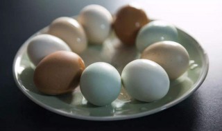鸭蛋和鸡蛋什么营养（鸭蛋和鸡蛋什么营养高）