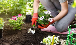 简述土壤养护的主要方法 土壤养护的主要措施