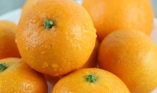 橘子的保存方法和技巧（橘子的储存保鲜方法）