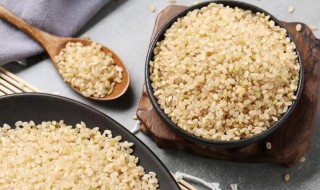 糙米怎么吃减肥最快 减肥糙米饭一天最多吃多少克