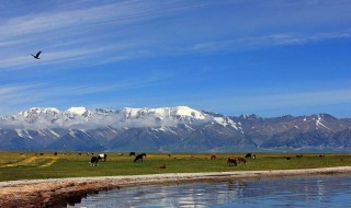 十大情侣旅游景点（情侣旅游景点排行榜前十名）