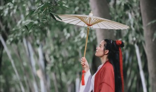 写春雨的诗句 写春雨的诗句有哪些