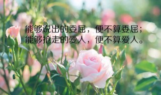 比较唯美的朋友圈句子大全（比较唯美的朋友圈句子大全简短）