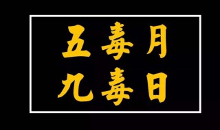 九毒日是哪几天（九毒日是哪几天2024时间表）