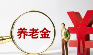 养老金怎么查（养老金怎么查询交了多少年）