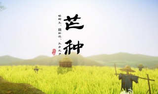 2021芒种节气快乐祝福语 芒种节气祝福短信