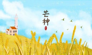 二十四节气芒种的内涵寓意（二十四节气芒种的来历）