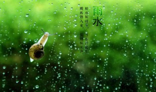 雨水节气吃什么传统食物 雨水节气吃啥好