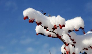 雪的形成（雪的形成过程是什么物态变化）