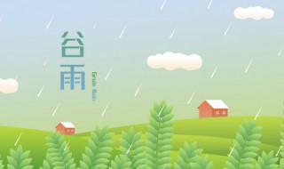 谷雨节气吃什么食物（谷雨节气吃什么食物养生）