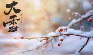 大雪节气寓意 大雪节气寓意的字