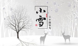 小雪节气的寓意和传统 小雪节气的寓意是什么