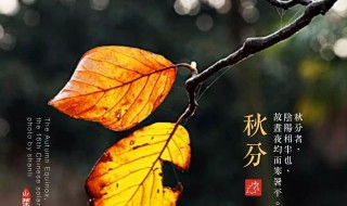 秋分节气的人生寓意（秋分节气的寓意是什么）