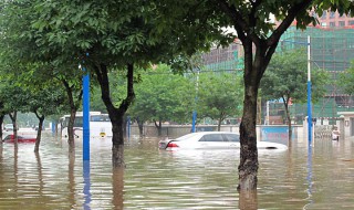 大暴雨大还是特大暴雨大（大暴雨和特大暴雨主要分布在我国的哪个地方）