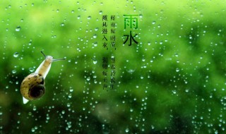 雨水节气推荐语 雨水节气语言