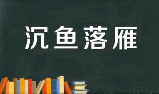 沉鱼落雁的故事和含义简短（沉鱼落雁的故事和含义简短概括）