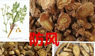 防风的作用与功效（荆芥与防风的作用与功效）