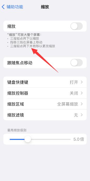 iPhone手机按了缩放怎么恢复