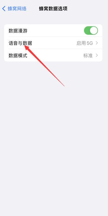 iPhone13启用5g和自动5g选哪个