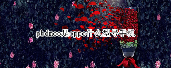 pbdmoo是oppo什么型号手机 oppo手机pbatoo是什么型号的