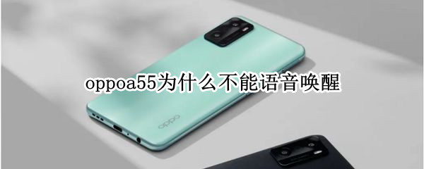 oppoa55为什么不能语音唤醒（oppoA55为什么没有语音唤醒）